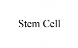استم سل پرو - Stem cell